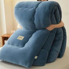 가을 겨울 더블 침대 이불 인서트 퀸 사이즈 두꺼운 따뜻한 누빔 콩 섬유 푹신한 부드러운 코어, 01 Gray