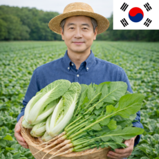 [전국최저가] 열무+얼갈이세트 국내산 김치/겉절이 전용, 1박스, 3KG+2KG