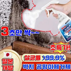 [신제품] 베이리인스 곰팡이 제거제 벽지 곰팡이제거제 초강력 곰팡이제거제 욕실 화장실 곰팡이제거제 다기능 뿌리는 곰팡이 제거 스프레이 베란다 집 벽 곰팡이제거제, 1개, 430ml