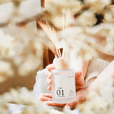 UDLAB Light 01 擴香瓶 Aura in the Air A fresh Beginning, 1個, Light 01｜財氣流動, 145ml