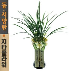 치타플라워 동양란 철골소심 [CD04-001] 승진 개업 축하 난 동양난 영전 취임 생일 선물 화분 고급 란 전국 배송 꽃배달, 1개