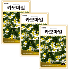 허브씨앗 캐모마일 (1gx3) 카모마일 씨앗 허브 키우기 종자, 3개