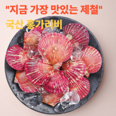 품절대란 통영 산지직송 홍가리비 특품, 1박스, 1kg