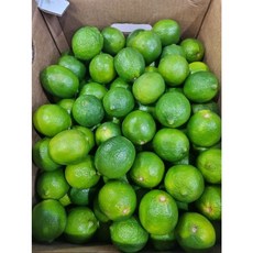 [무농약재배] 갓 수확한 청량한 향 가득 상큼한 생라임, 1개, 생라임 슬라이스 500g