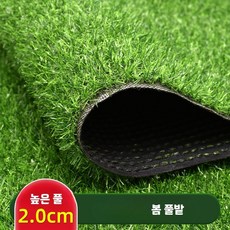 야외 인조잔디 길이 롤 발코니 카페 실내 축구장 실외, T. 2cm 두꺼운 봄 (2mx25m), 1개