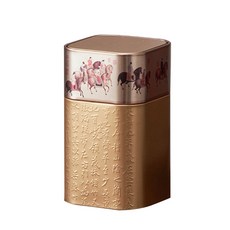 루즈 티 커피 캔디 쿠키 향신료를 담을 수 있는 빈 티 캔 용기, 1개, Gold