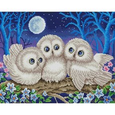 40x50 가족 부엉이 2 캔버스 보석십자수 44034ea 1(pc), 색상