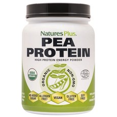 Natures Plus 植物性蛋白粉, 1個, 500克