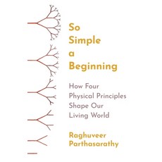 (영문도서) So Simple a Beginning: How Four Physical Principles Shape Our Living World Paperback, Princeton University Press, English, 9780691258676