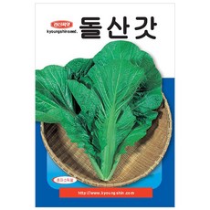 세인화분 돌산갓 10g - 씨 씨앗 채소 야채 갓씨 갓씨앗, 1개