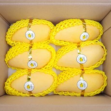 [재구매율 1위] 태국 남독마이 골드 망고, 1박스, 4kg (12과 내외)