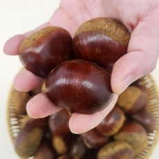 1인가구용 굿뜨래 특품 부여 햇밤 1kg, 1kg(중)x1박스, 1