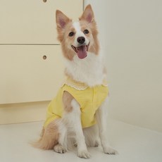 베일리 강아지옷 애견의류 해충방지 티셔츠 코지세라티, 옐로우, 1개
