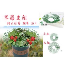 園藝城堡 草莓支撐架 水果墊高架, 1個