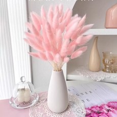 臺灣出貨 【店鋪熱銷】兔尾草永生花客廳擺設ins風幹狗尾巴草裝飾 TE45, 原色兔尾花【20-30個花頭】,不帶花瓶