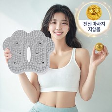 바디리듬 가정용 에어 지압 스텝퍼, 애쉬그레이