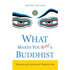 (英文圖書)What Makes You Not a Buddhist 平裝版, Shambhala, 英文