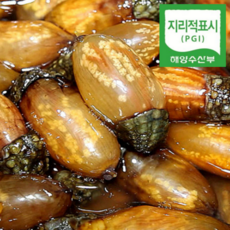 당일채취 회로도 먹는 싱싱한 창원마산 진동 미더덕 오만둥이 오만디 생물 산지직송, 1-1) 생물 참미더덕 1kg, 1개