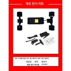 4륜 보드 성인용 성인 조종 초보 사륜 입문용 스쿠터, 1개, 6.4AH 듀얼