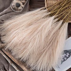 大好屋蒲葦 療癒系花材網美拍照道具 室內裝飾鄉村風擬真花, 1件, 【淺咖】仿真蘆葦【單枝】, 淺咖