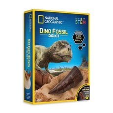 T렉스 공룡이빨 화석 발굴 STEM 키트 과학완구