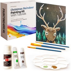 비디오 튜토리얼이 포함된 페인팅4리얼 아크릴 아트 페인팅 키트 - 눈 속 오두막 배우기 페인트 세트 초보자 성인 미술 애호가를 위한 9피스, Christmas Reindeer