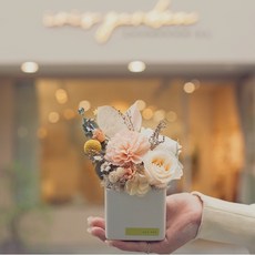 DAY OFF 擴香盆栽 母親節康乃馨永生花乾燥花香氛禮盒，居家香氛擺飾，母親節禮物首選, 1組, 花香