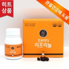 세모 호본마디 리프리놀 1곽, 1개, 240정