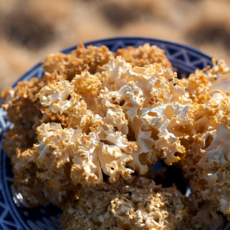 건조 꽃송이버섯 100g 유기농인증 무농약 신선농장