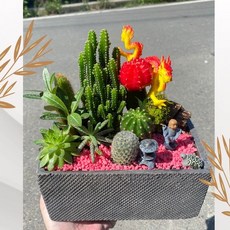 原創意境飛龍在天多肉盆栽/開幕祝賀盆栽/店內擺飾/多肉植物/ins拍照道具背景/療癒盆栽/室內植物, 1個