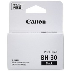 Canon 정품 프린트 헤드 BH-30