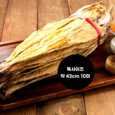 북어찜용 특사이즈 약 43cm 내외 10미 러시아산, 1개