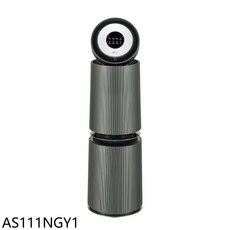 LG空氣清淨機，有效過濾PM2.5、花粉及塵螨，智能感應，低噪音設計，時尚簡約, 圖片色, AS111NGY1