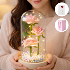Norvee 유리돔 조화 장미 플라워 무드등 발렌타인데이 어버이날 감성 선물 귀여운 카드 포함, 핑크