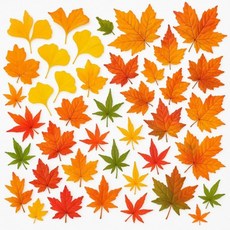 생활 밀착 고급 단풍잎 은행잎 낙엽 조화 가을 리스 나뭇잎 단풍 나무 인조 장식 모형 놀이 가랜드 어린이집 유치원 꾸미기, 단풍잎_혼합