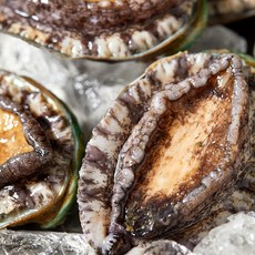 진관상사 완도 활전복 1kg 8-9미 진짜 먹거리