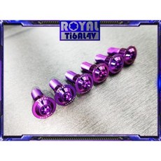 ROYAL M8*25 碟盤螺絲64正鈦螺絲 CNC鍛造內梅花, 帝王黑, 1個