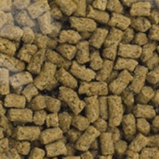 (50g) 갑각류용사료 가재키우기 건식사료 가재사료 전 가재 먹이 사료 선물 bgy76072XS, 1개, 1ml, 1g