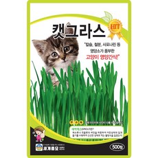 세계종묘 산들마켓 캣그라스 씨앗 500립 고양이간식 캣그라스씨 종자, 1개