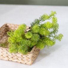 파슬리 조화 녹색 식물 부쉬 33cm 2컬러 조경 인테리어 장식 소품 인조 잎사귀 나뭇잎 가드닝, 그린, 1개