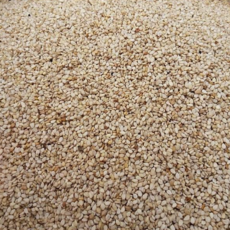 산지직송 올해 수확 국산 햇 참깨 1kg 고급형, 1개