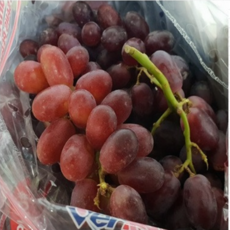 가람상점 씨없는포도 크림슨적포도, 1개, 1kg