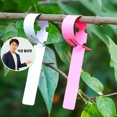 지금 필요한 걸이 200p 나무 나무네임택200p 네임택 식물 리본 이름표 K31872EA, 그린