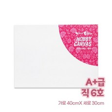 A+ 하비 캔버스 직사각 6호 (40*30)