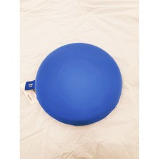 모던하우스 3도씨) 익스트림쿨 말랑핏 메모리폼 방석 블루스트라이프 D40, 사진참조