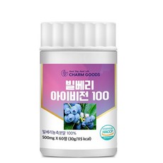 빌베리추출 농축분말 눈건강 아이비젼, 1개, 60정