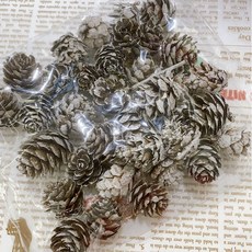 천연 미니 흰색 눈내린 화이트 자연 솔방울 35-40개 약 60g, 1세트
