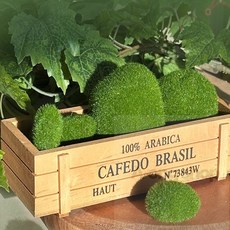 아옹샵 인테리어 가짜 이끼 돌 정원 테라스 소품 10입 촬영소품, 녹색