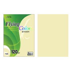 삼원 플라잉칼라 A4 120g 20매, 1개, E07 밝은노랑색 20매