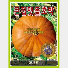 큰집 맷돌 호박 10립 과채류 열매채소 주말농장 야생나물 국거리 토종채소
